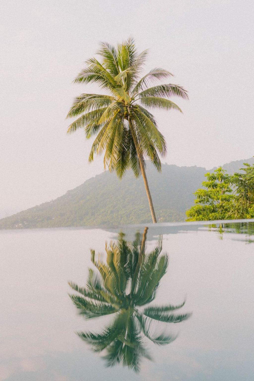 Perfect View Pool Villa Ko Tao Eksteriør bilde